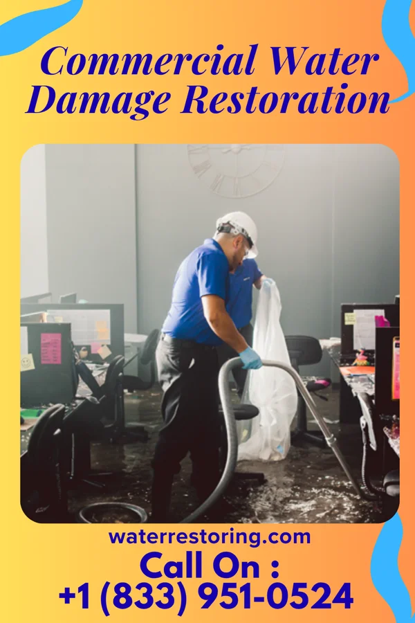 Commercial Water Damage Restoration in Lumber City, PA