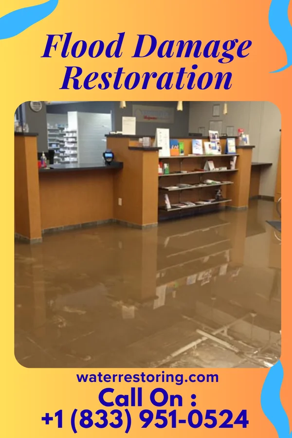 Flood Damage Restoration in Lumber City, PA