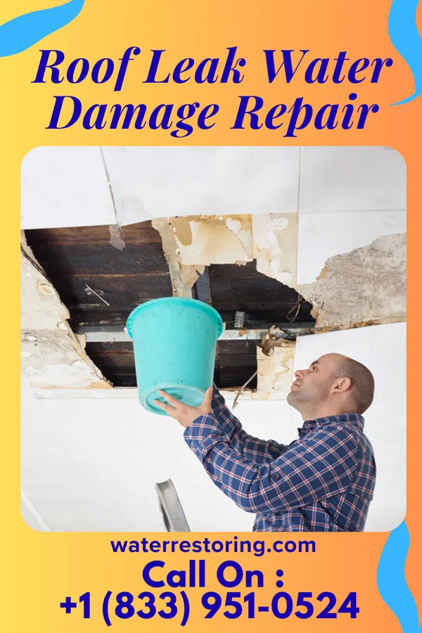 Roof Leak Water Damage Repair in Lumber City, PA