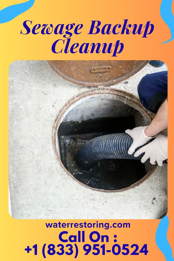 Sewage Backup Cleanup in Lumber City, PA
