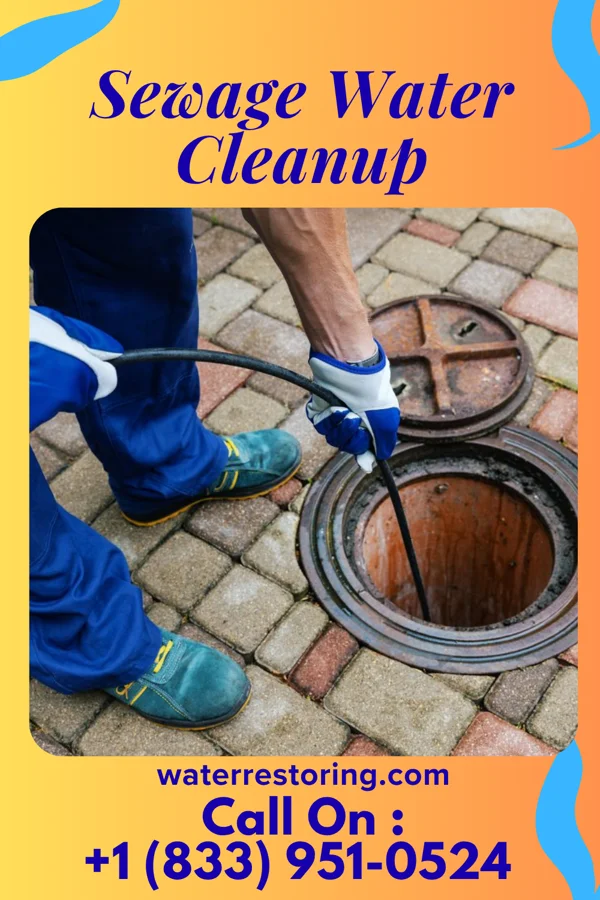 Sewage Water Cleanup in Lumber City, PA
